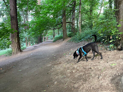 Mt Tabor Park Off-Leash Dog Area