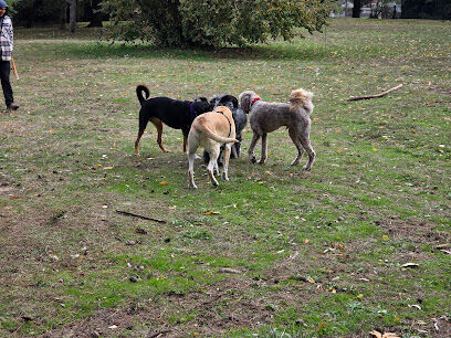 Off-Leash Dog Park
