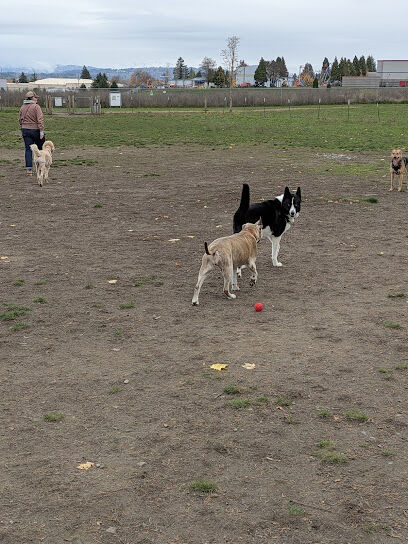 Sacajawea Fenced Off-Leash Dog Park