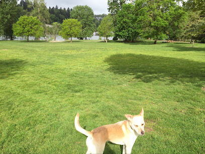 Sellwood Off-Leash Dog Park