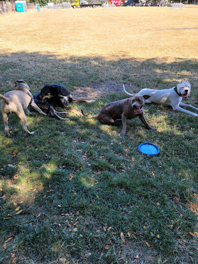 Washington High School Dog Park