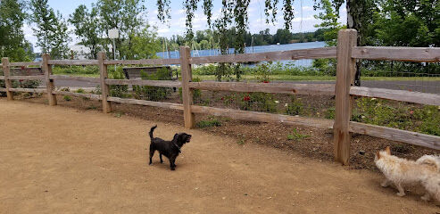 Willamette Park Off-Leash Dog Area