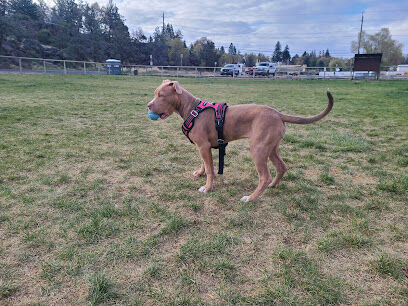Dry Canyon trail Dog park
