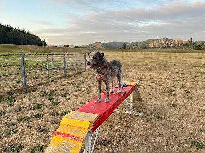 Champion Dog Park