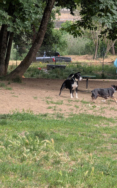 Happy Tails Dog Park