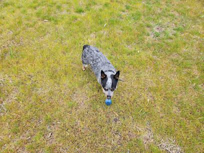 Rufus Dog Park