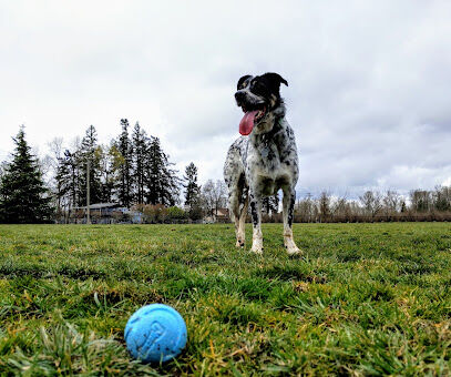 Keizer Rapids Dog Park