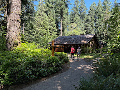 Pet Exercise Area - Silver Falls SP - South Falls Day Use Area