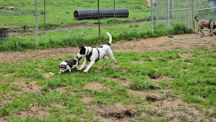 Sutherlin Dog Park