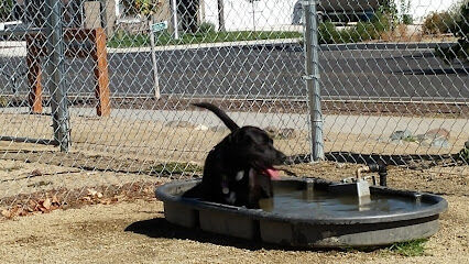 Bark Park