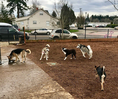 Ash Avenue Dog Park