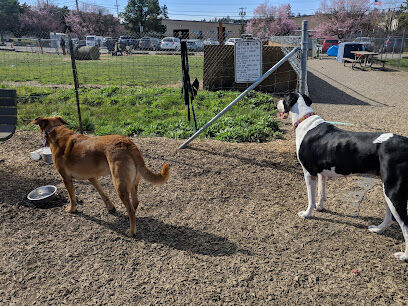 Potso Dog Park