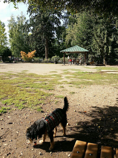 Summerlake Dog Park