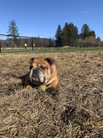 Tillamook Ironworks Bark Park