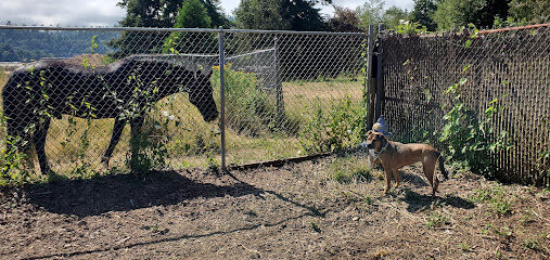 Julie Rockwell Memorial Dog Park