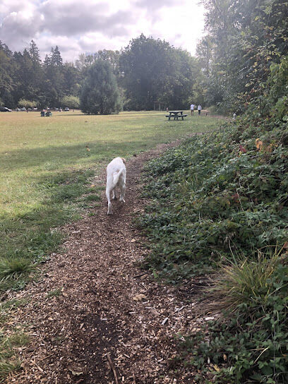 Mary S dog park