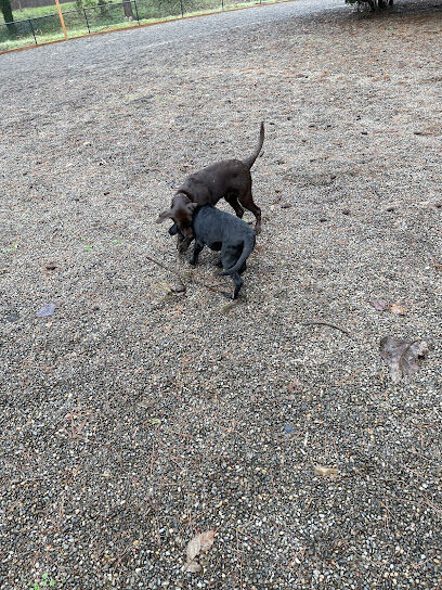 Ash meadows (fenced) dog park
