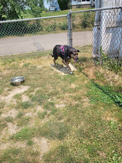 Ingo Dog Park