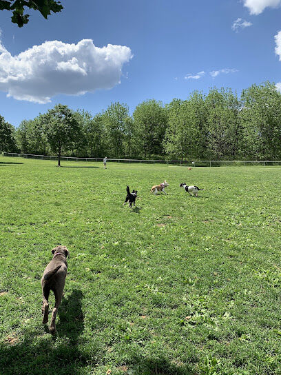 Cedar Creek Parkway West Dog Park