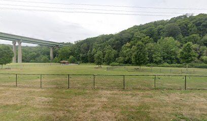 Brady's Run Dog Park