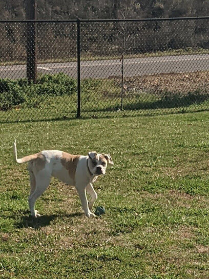 Berwick Community Dog Park