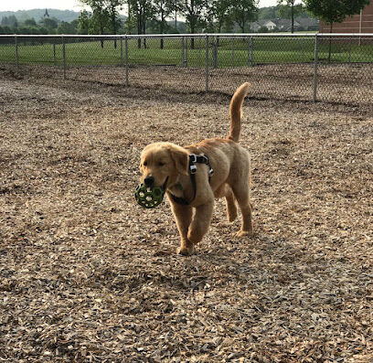 Hanover Township Dog Park