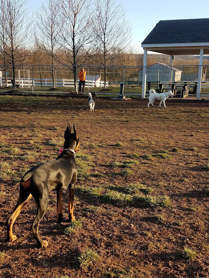 Danielle Ruiz-Murphy Center for Animal Welfare and Dog Park