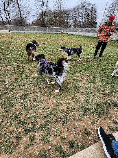 Bloomsburg Dog Park