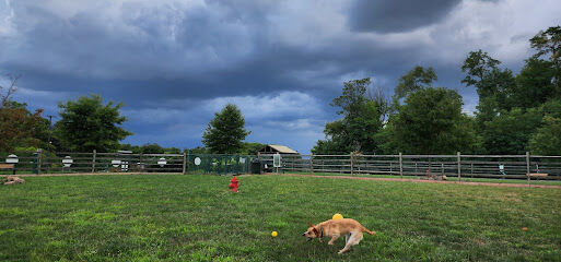 Whitpain Dog Park (member required)