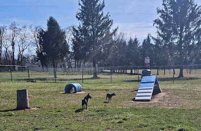 Doggie Dugout-Registration Required
