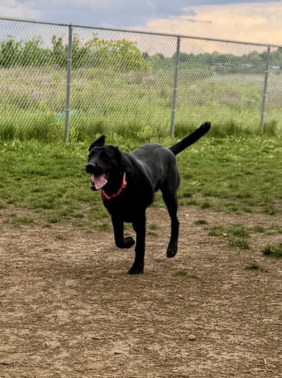 Bark Park: Off-Leash Dog Park & Nature Trail