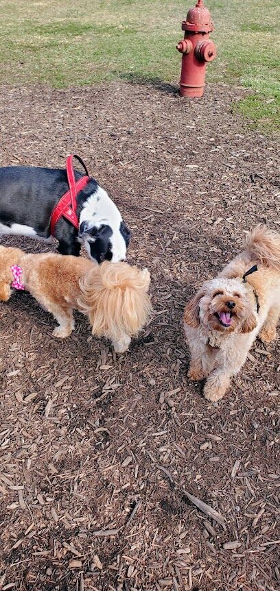 Dog Park at Lower Allen Township Community Park