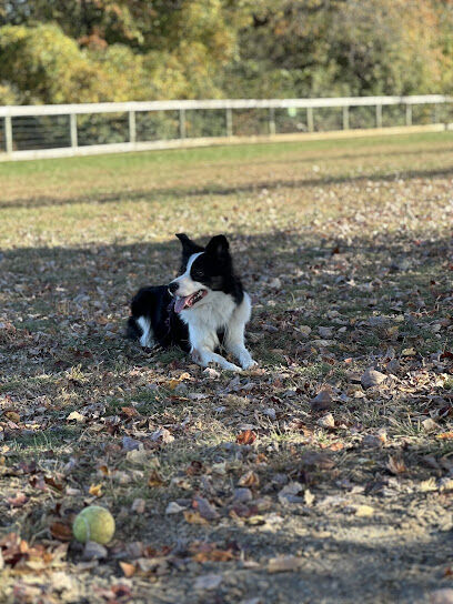 Bark Park at Pennsbury Township Municipal Park