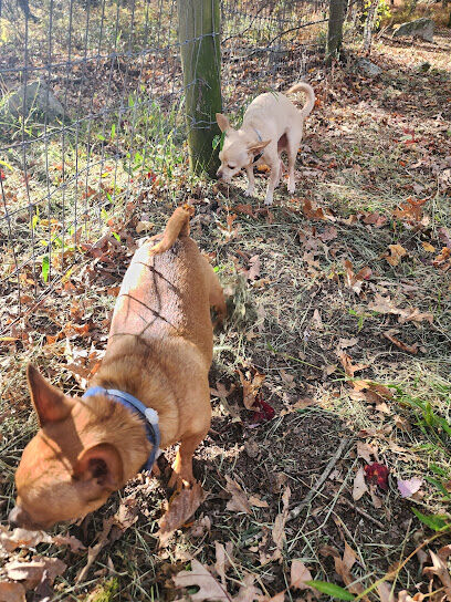 Wild Acres Dog Park
