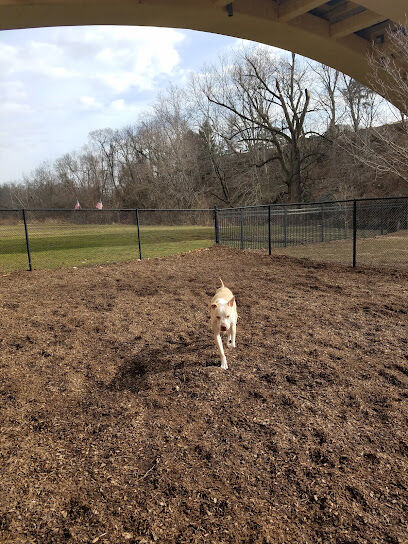 Kent Dog Park