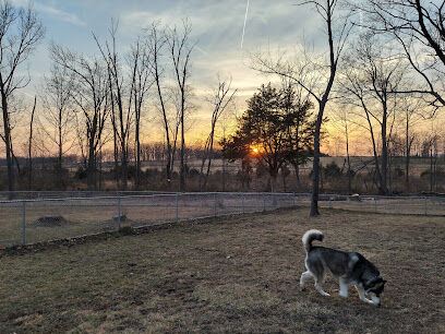 Dog Park