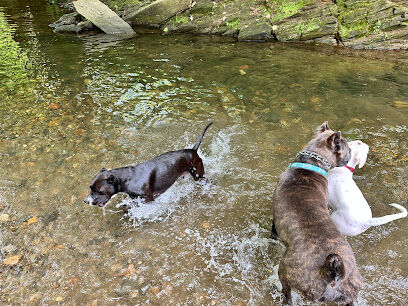 West Mill Creek Park