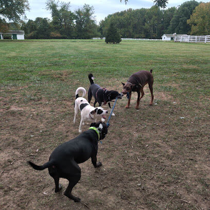 Bethel Dog Park
