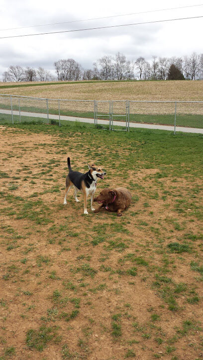 Glen Rock Dog Park