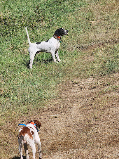 Oak Ridge Pointing Dog Club