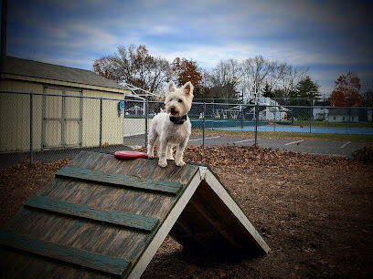 Hatfield Dog Park