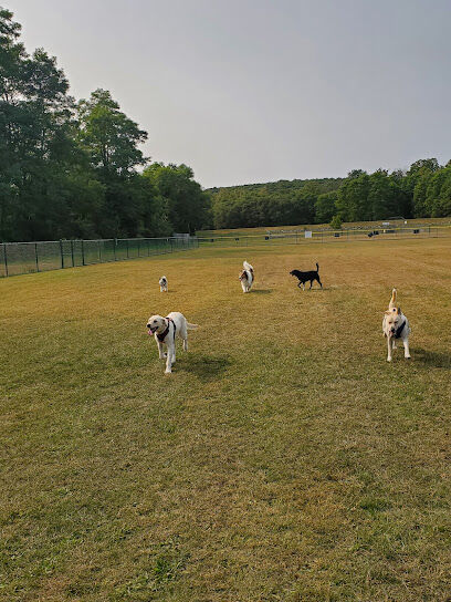 Riverside Dog Park