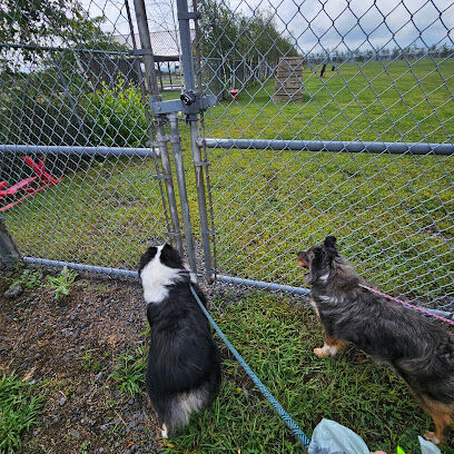 Bailey's Bark Park - Yearly Fee to Use