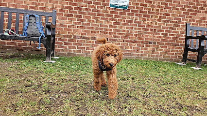 Waterfront Dog Park