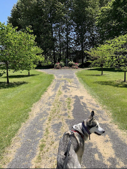 Sandyvale Dog Park
