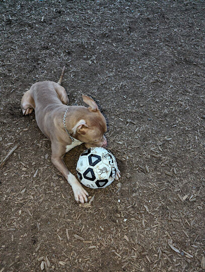 Municipality of Kingston Dog Park