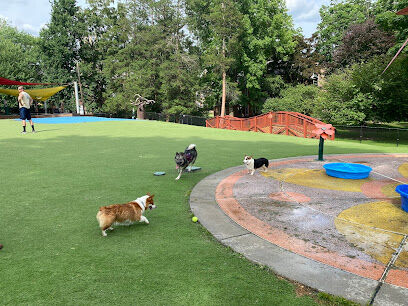 Beau’s Dream Dog Park