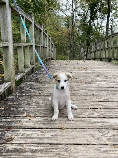 Turtle Creek Park