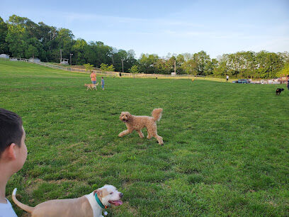 Canine Meadows
