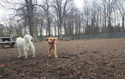 Montgomery Township Bark Park